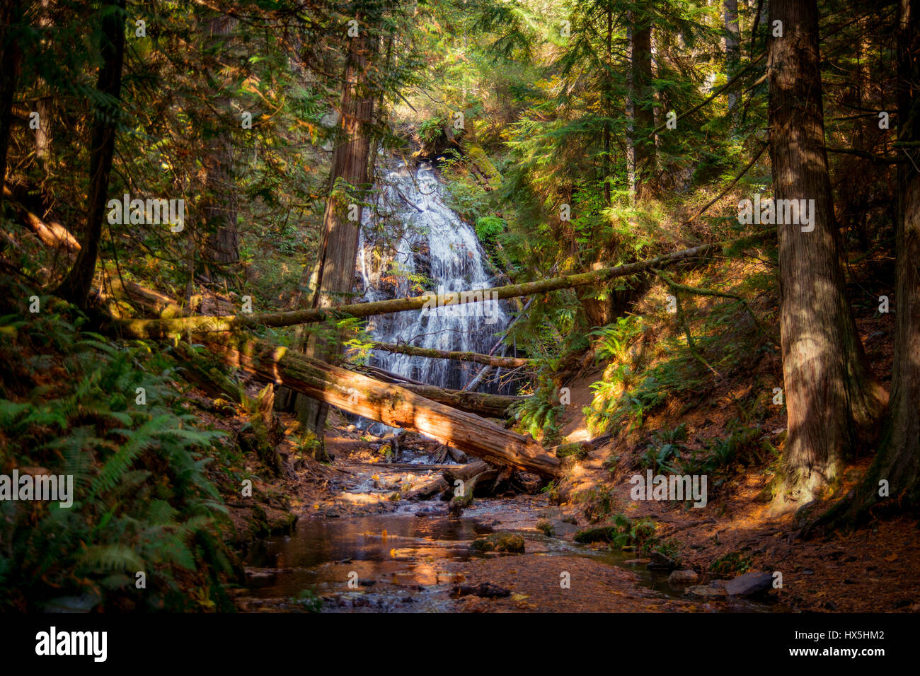 Wasserfall auf Orcas Island, San Juan County, Bundesstaat Washington, USA. Stockfoto