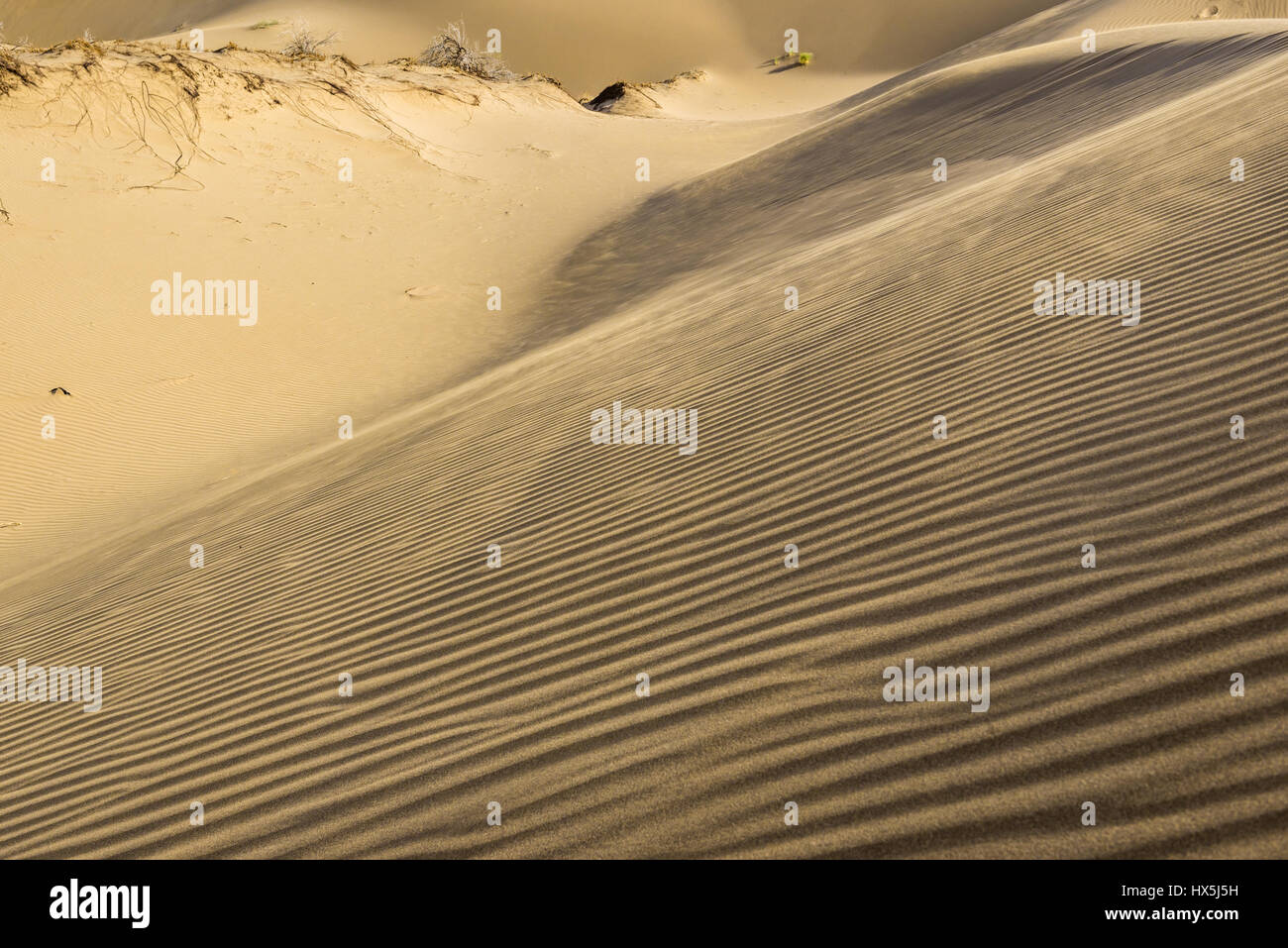 Ripple Markierungen auf einer Düne am Maranjab Wüste gelegen in Aran va Bidgol Grafschaft im Iran Stockfoto