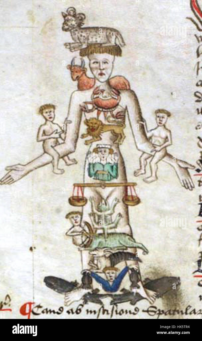 Medical zodiac man Fotos und Bildmaterial in hoher Auflösung Alamy