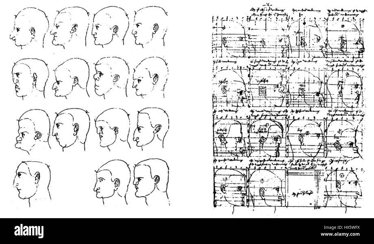 *Morpho Durer* ist ein Druck, der von Albrecht Dürer inspiriert wurde und sein feines Detail und sein technisches Können bei der Erfassung natürlicher Formen zum Ausdruck bringt. Das Stück spiegelt Dürers Einfluss auf die botanische Illustration und die Präzision seiner Gravurtechniken wider. Stockfoto
