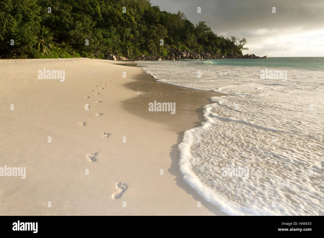 Spuren am Strand, Seychellen Stockfoto