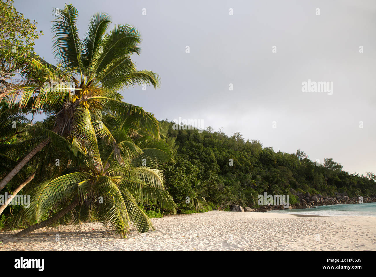 Panorama Strand mit Palmen, Insel Praslin, Seychellen Stockfoto