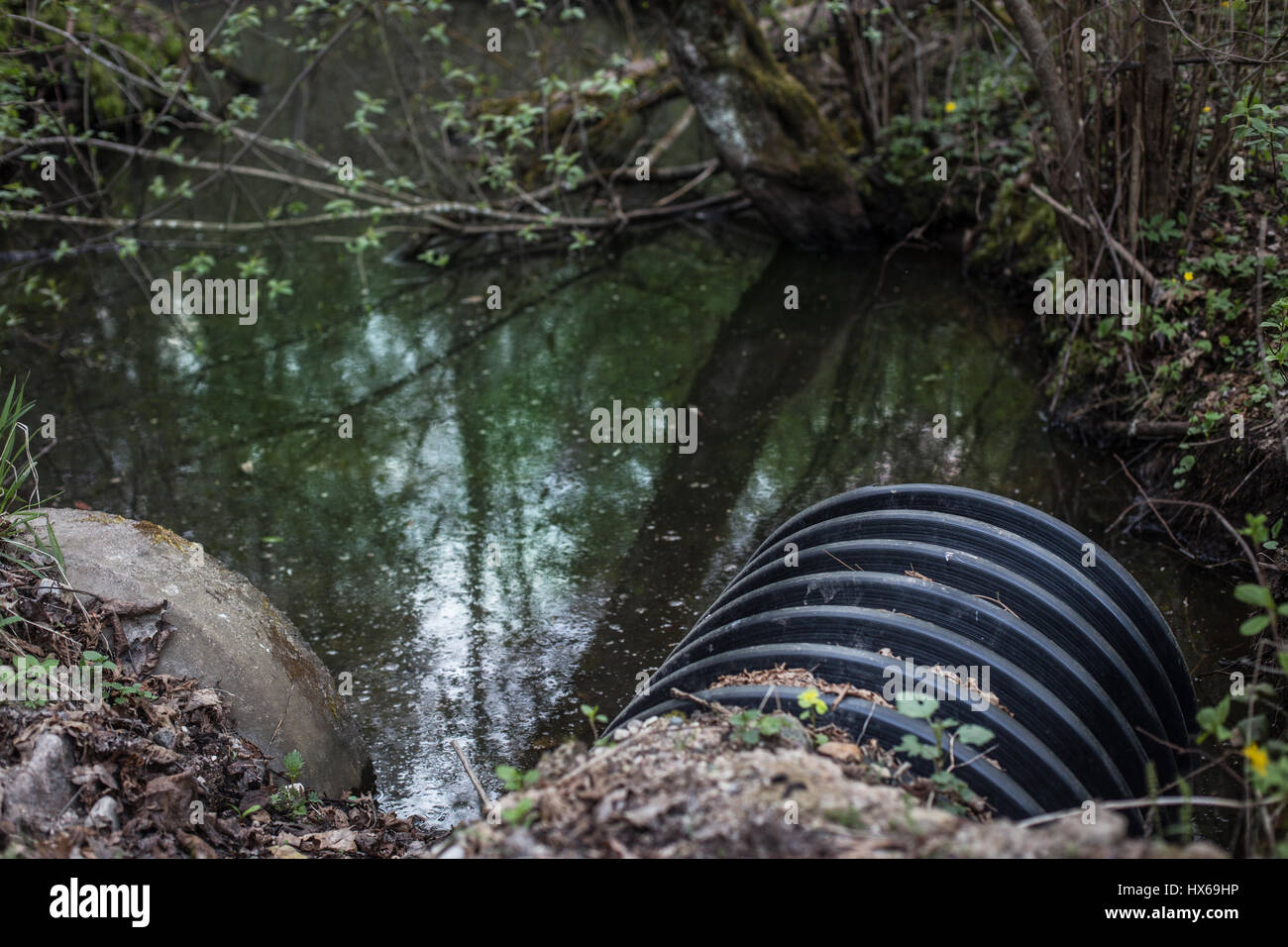 Schmutziges Wasser ergibt sich aus dem Rohr, die Verschmutzung des Flusses Stockfoto