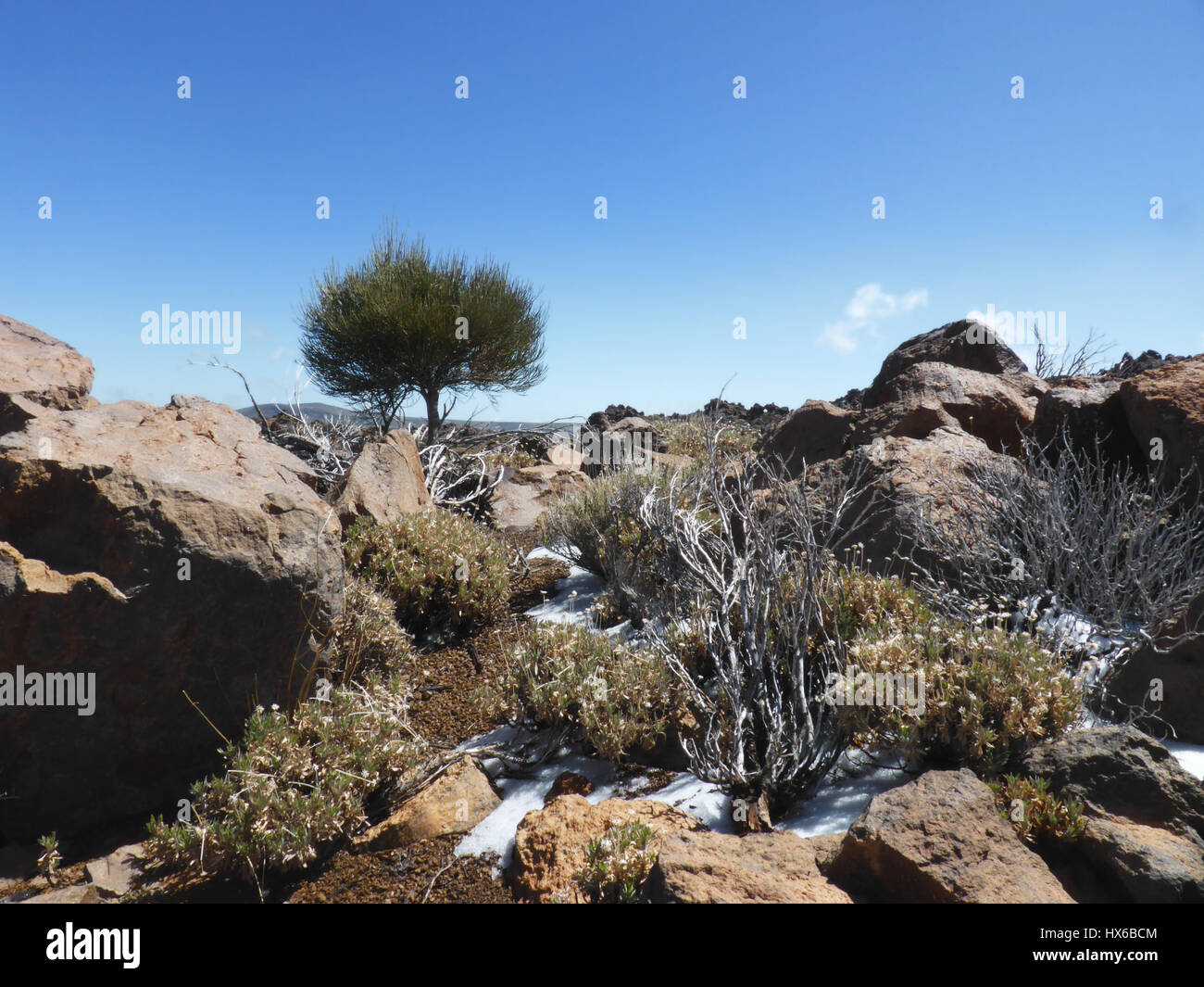 trockenen Wüstenlandschaft, Rocky Mountains im winter Stockfoto