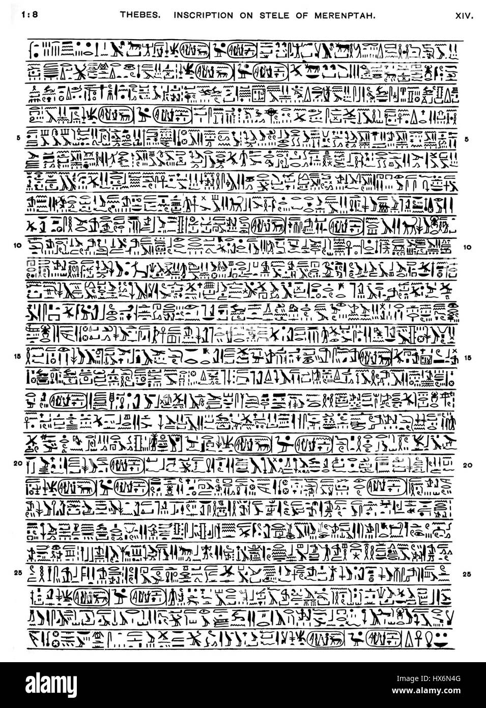 „Petrie 1897 Plate 14“ bezieht sich auf eine spezifische Abbildung aus Sir Flinders Petries archäologischen Arbeiten, die ein Artefakt oder Fundort zeigt, das während seiner ägyptischen Expedition 1897 ausgegraben wurde. Stockfoto