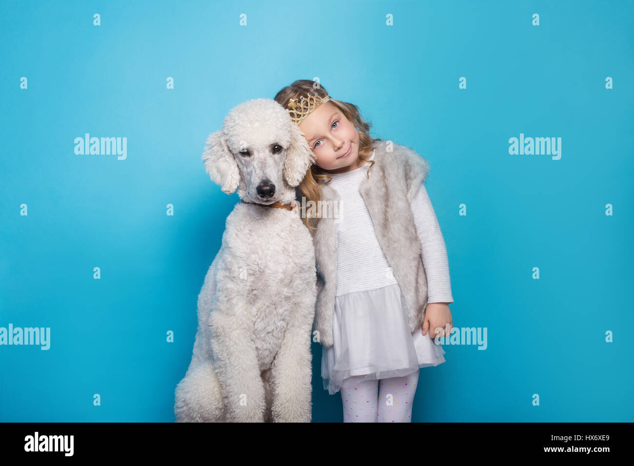 Hund Prinzessin Stockfotos und -bilder Kaufen - Alamy