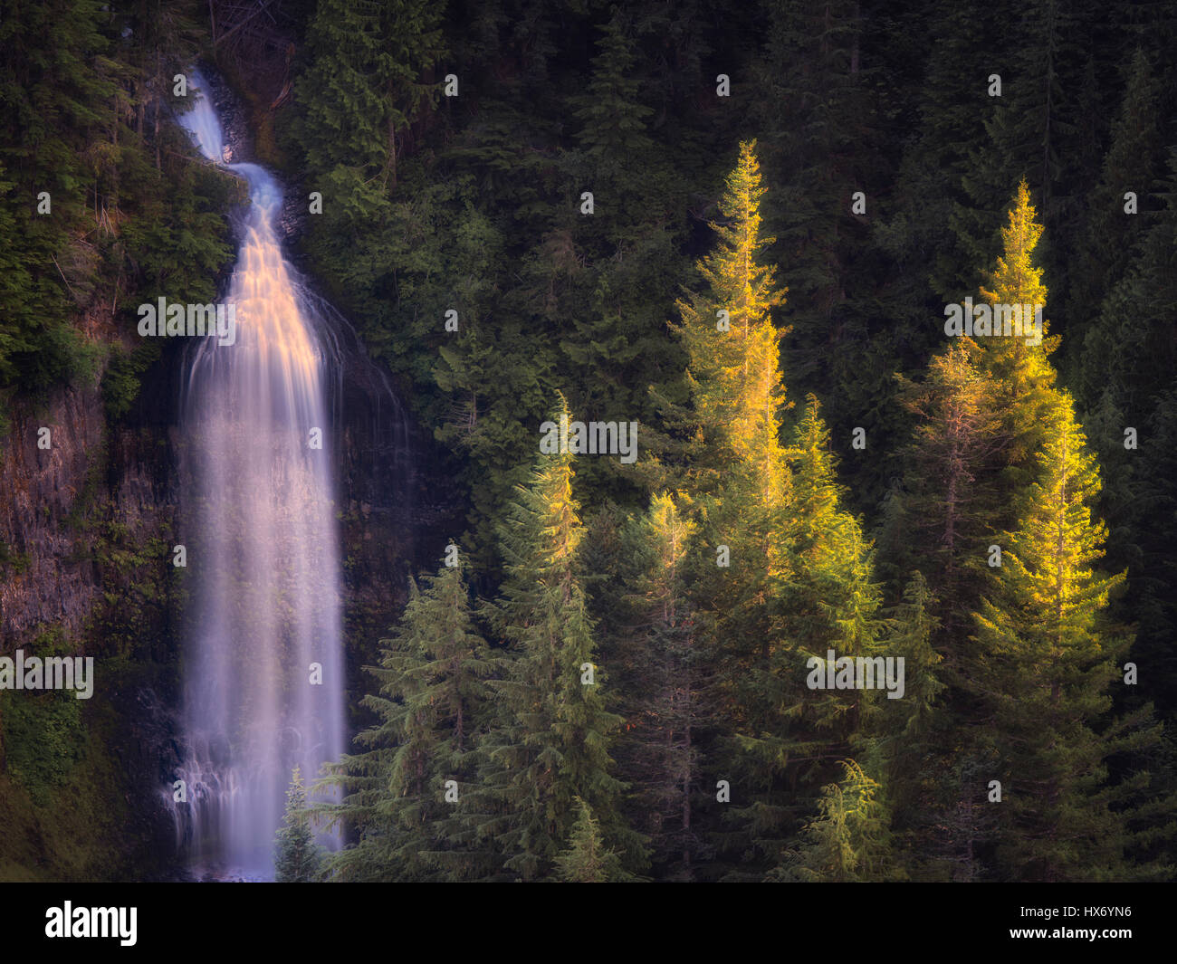 Martha fällt. Mt. Rainier Nationalpark, Washington Stockfoto