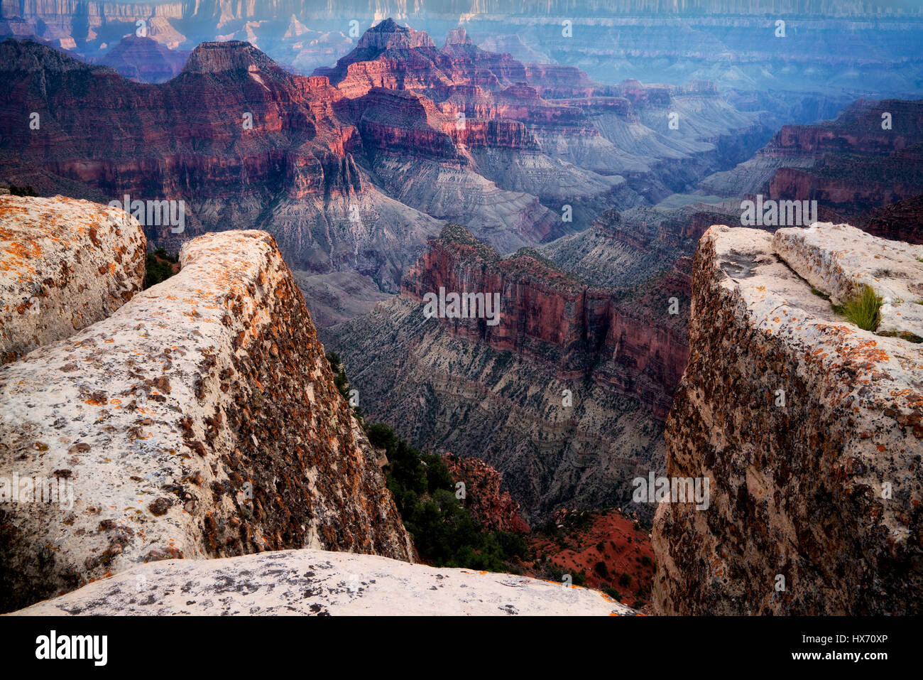 Ansicht des Grand Canyon von Bright Angel Point. North Rim des Grand Canyon National Park, Arizona Stockfoto
