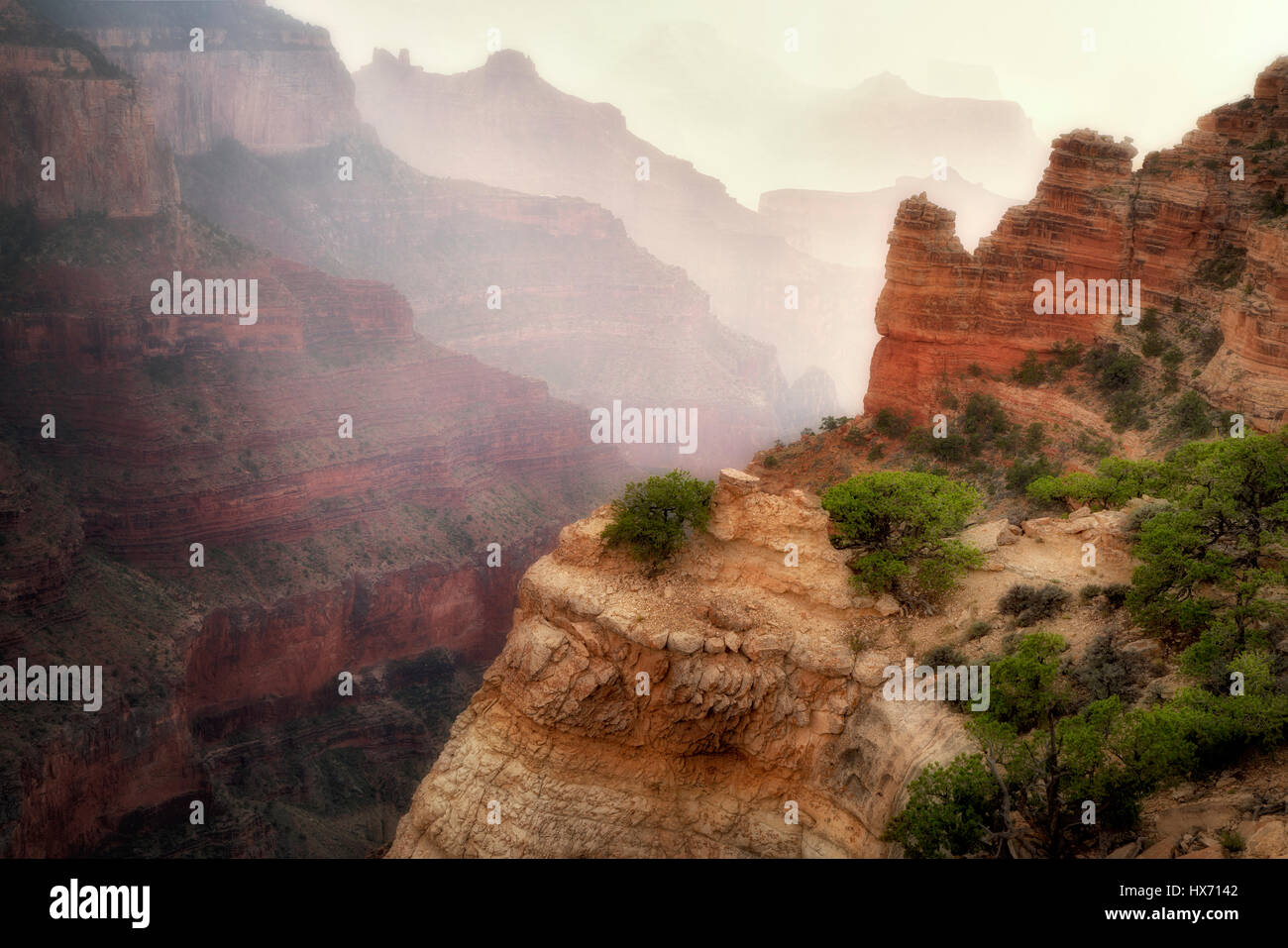 Gewitter im Cape Royal. Grand Canyon Nationalpark in Arizona Stockfoto