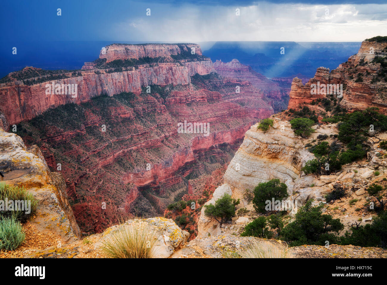 Gewitter und Welle des Lichtes im Cape Royal. Grand Canyon Nationalpark in Arizona Stockfoto