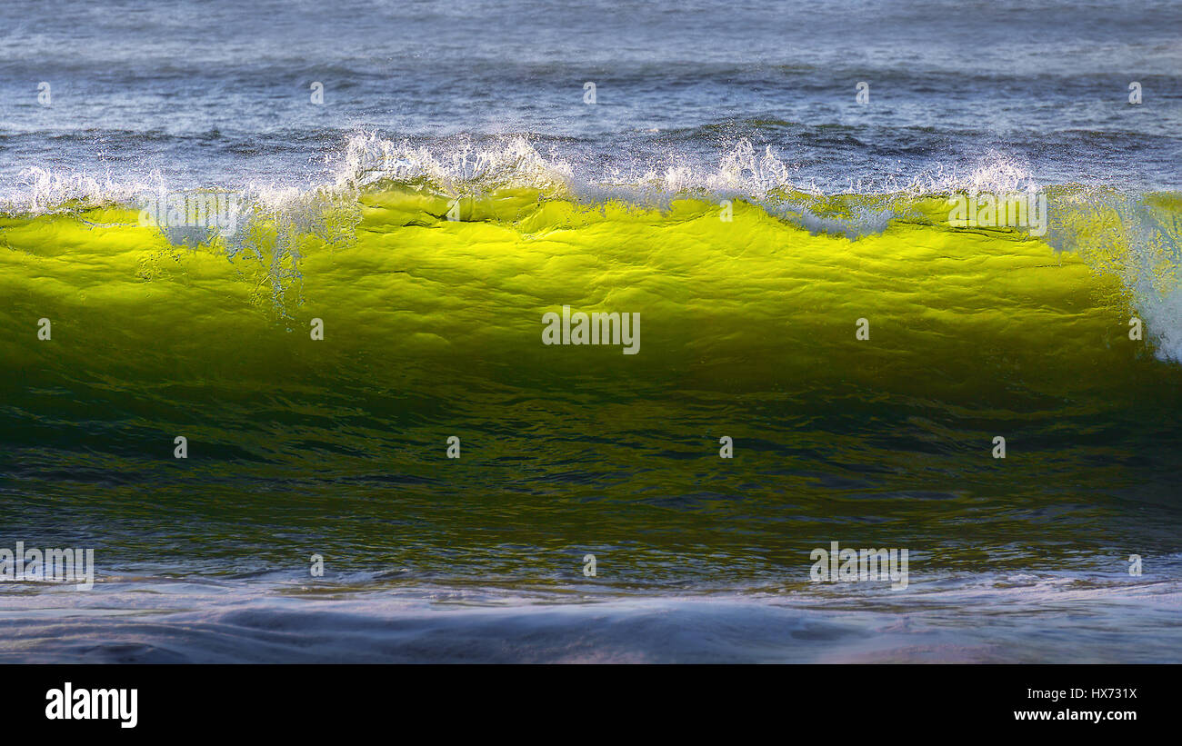 bunt und schön Welle brechen Stockfoto