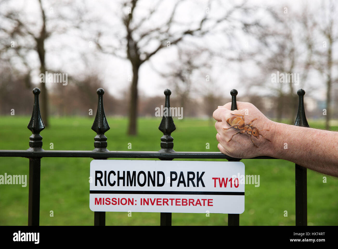 Eine preisgekrönte Körperkünstlerin malt 8 lebensähnliche Wirbellose, um eine neue Partnerschaft zwischen der Royal Parks Charity und der Peoples Postcode Lottery zu starten. Stockfoto