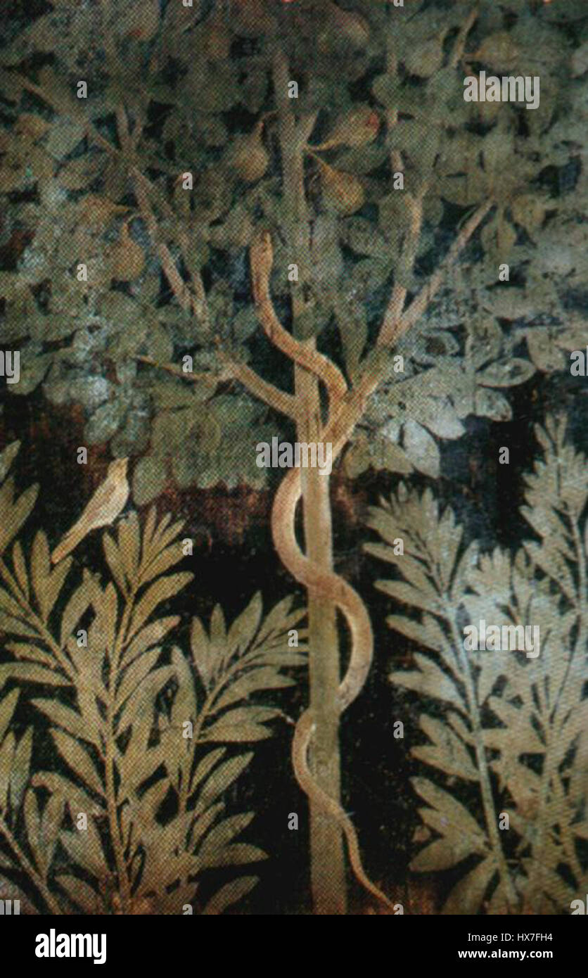 „Pompei frutteto“ bezieht sich auf eine Darstellung der Obstgärten, die in der antiken Stadt Pompeji gefunden wurden. Dieses Bild zeigt das landwirtschaftliche Leben in Pompeji vor seiner Zerstörung im Jahr 79 n. Chr. und bietet einen Einblick in die römische Landwirtschaft. Stockfoto