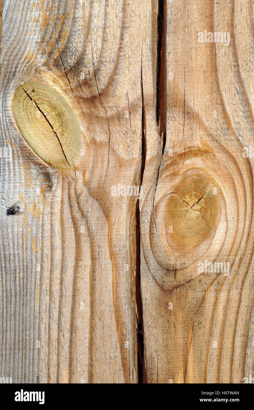 Nahaufnahme von Holzbrett mit Knoten, vertikale Zusammensetzung Stockfoto