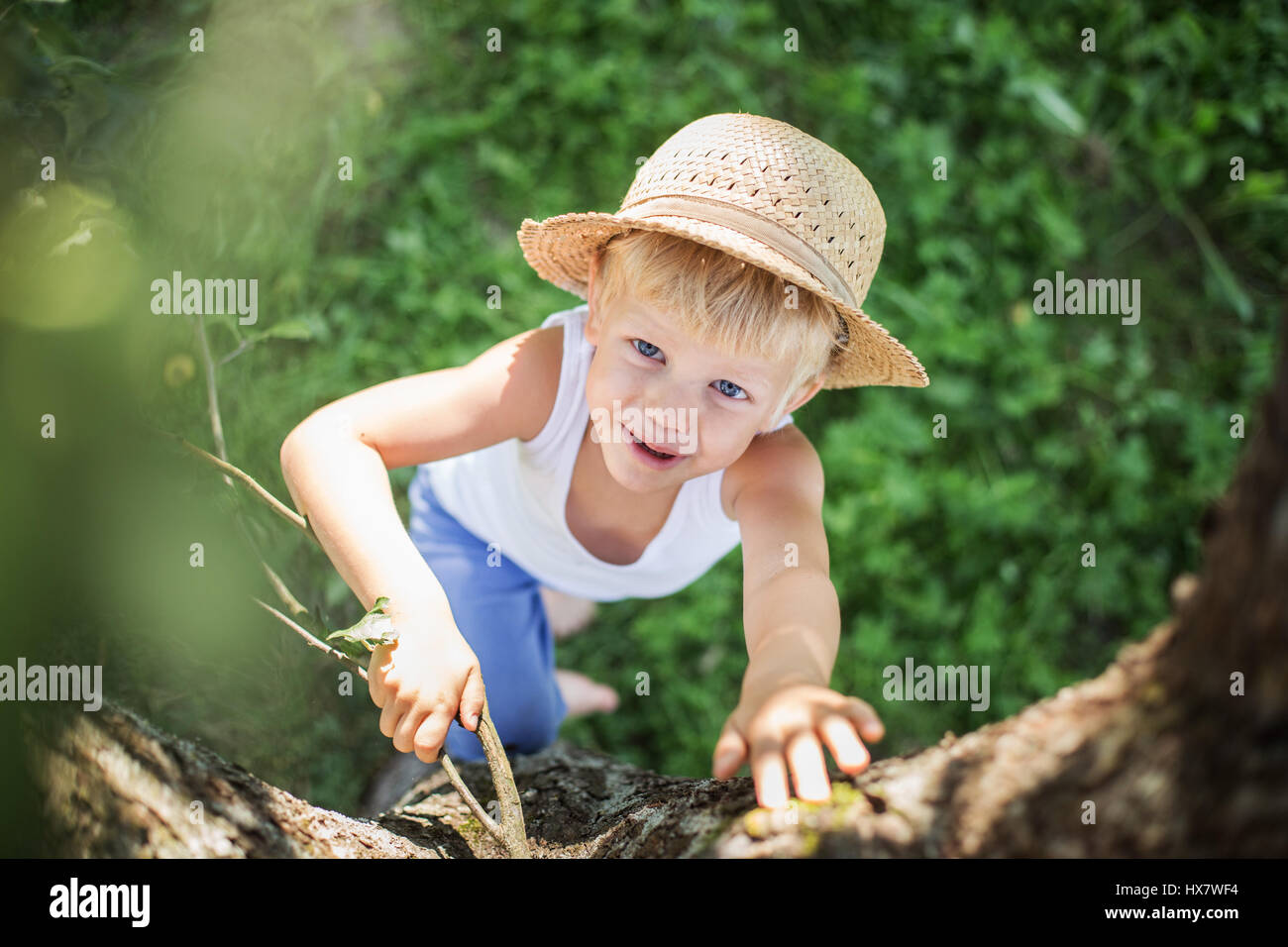 Outdoor-Porträt: Kind mit Strohhut klettert einen Baum Stockfoto