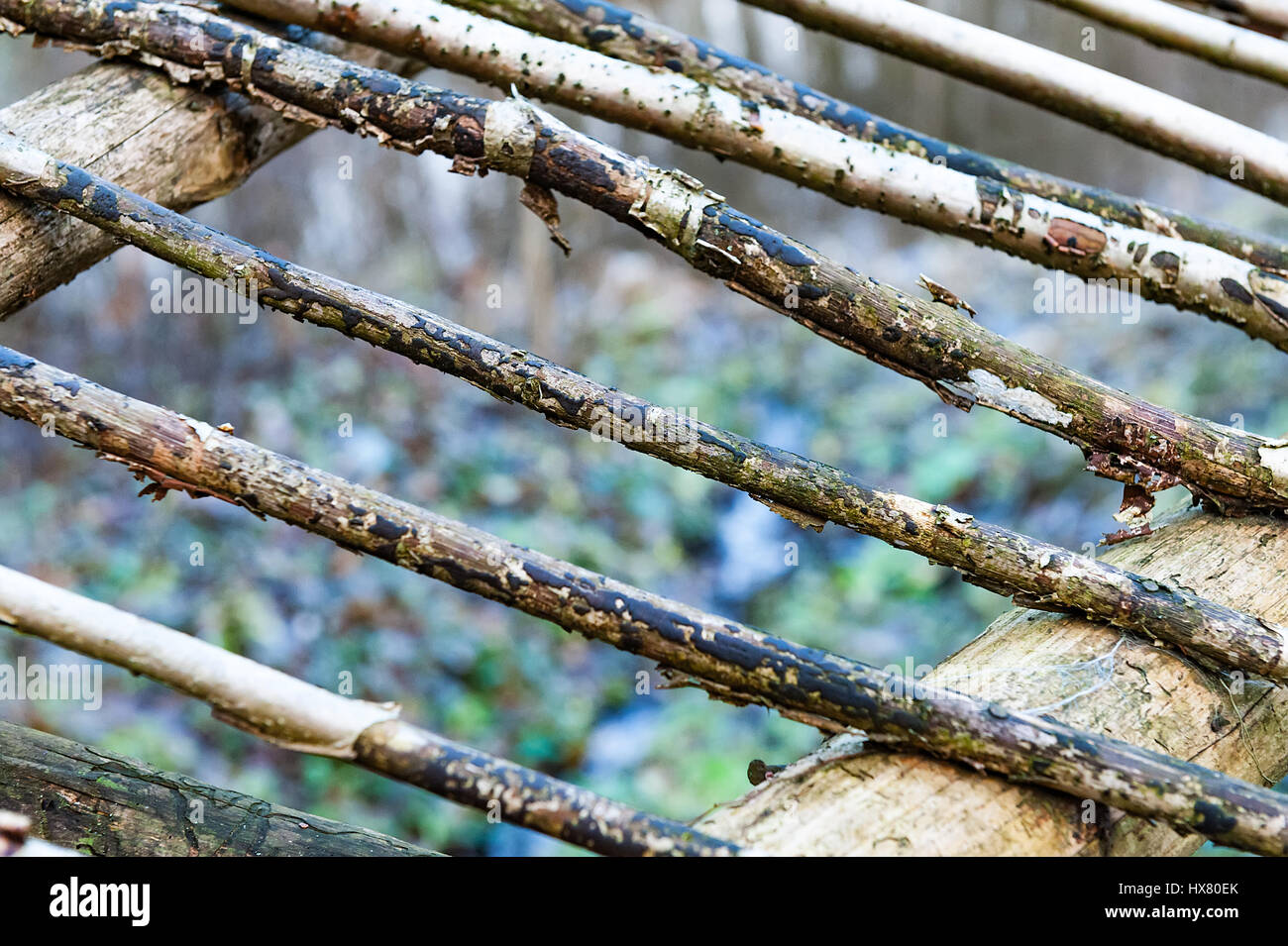 Natürlichen Hintergrund - ein Zaun aus Protokollen der Kiefer. Grobe rohe dünne Kiefer Protokolle Stockfoto