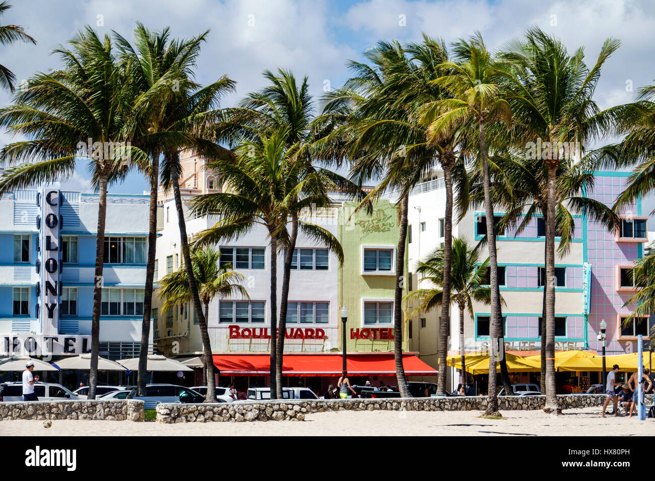 Miami Beach, Florida, Ocean Drive, historisches Art déco-Viertel, Lummus Park, Palmen, Colony Hotel, Boulevard Hotel, Starlite, Hotel, FL170221014 Stockfoto
