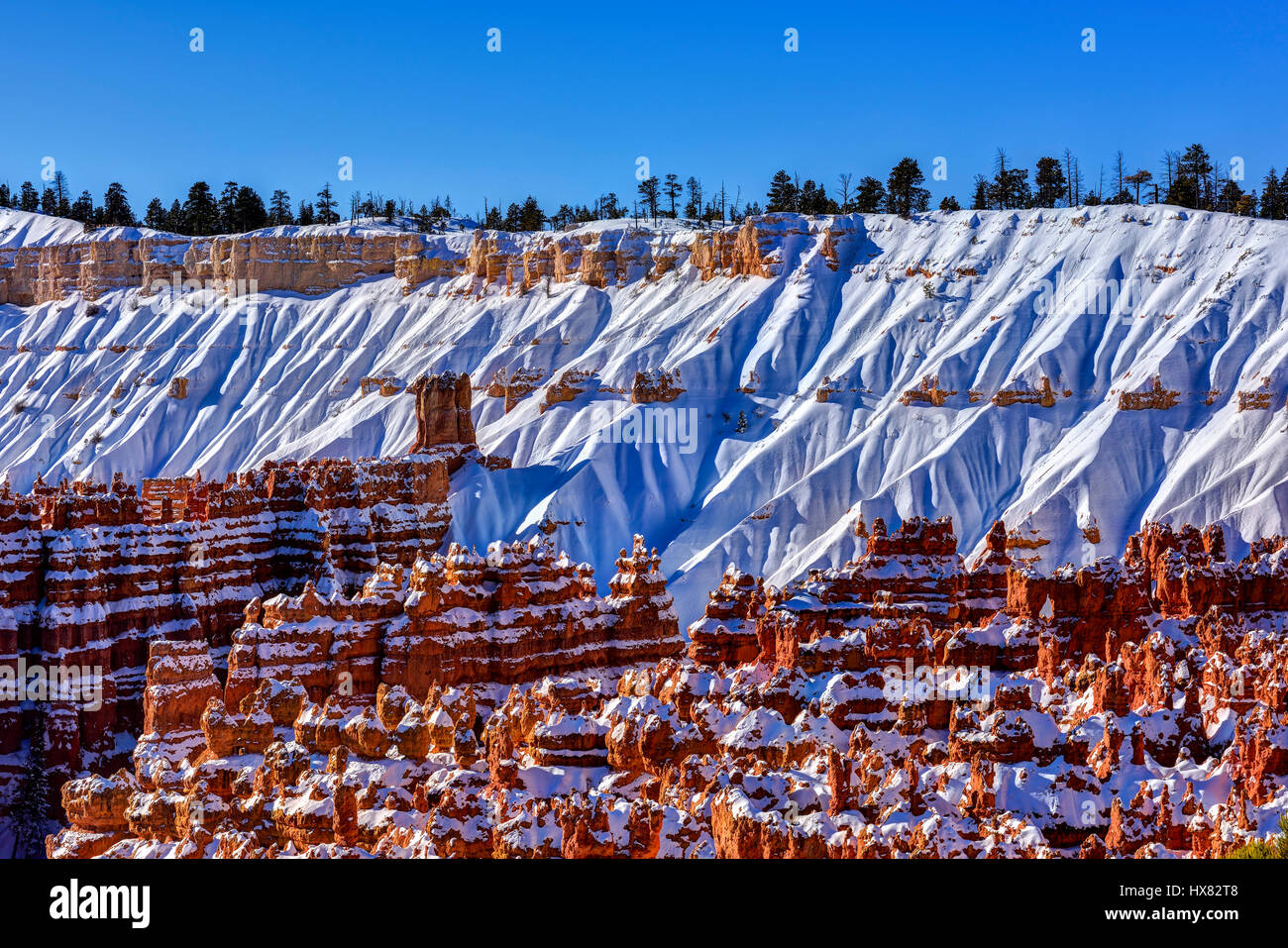 Bryce Canyon, abstracts Stockfoto