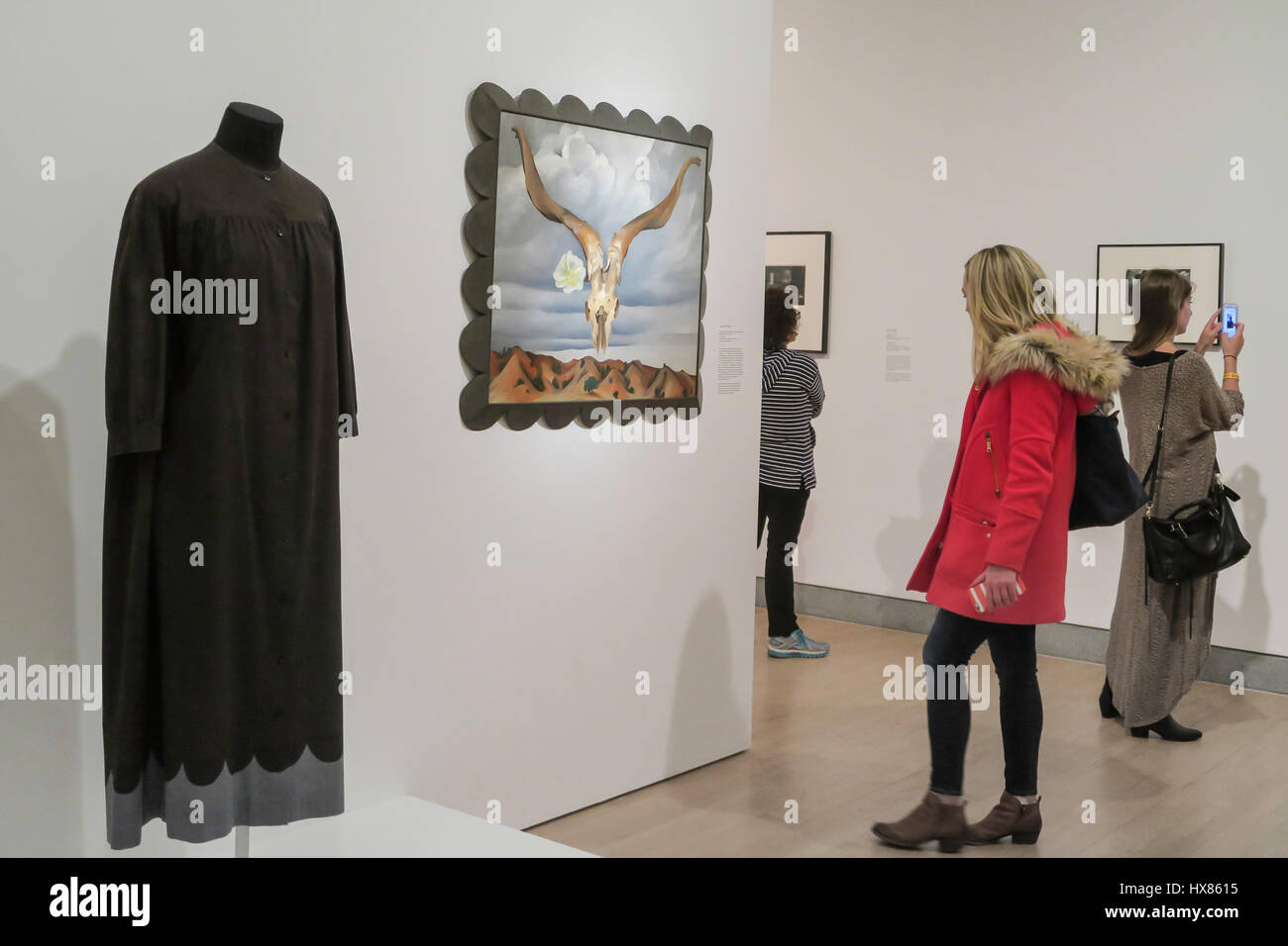 "Georgia O'Keeffe: Living Modern" Ausstellung im Brooklyn Museum, New York City, USA Stockfoto