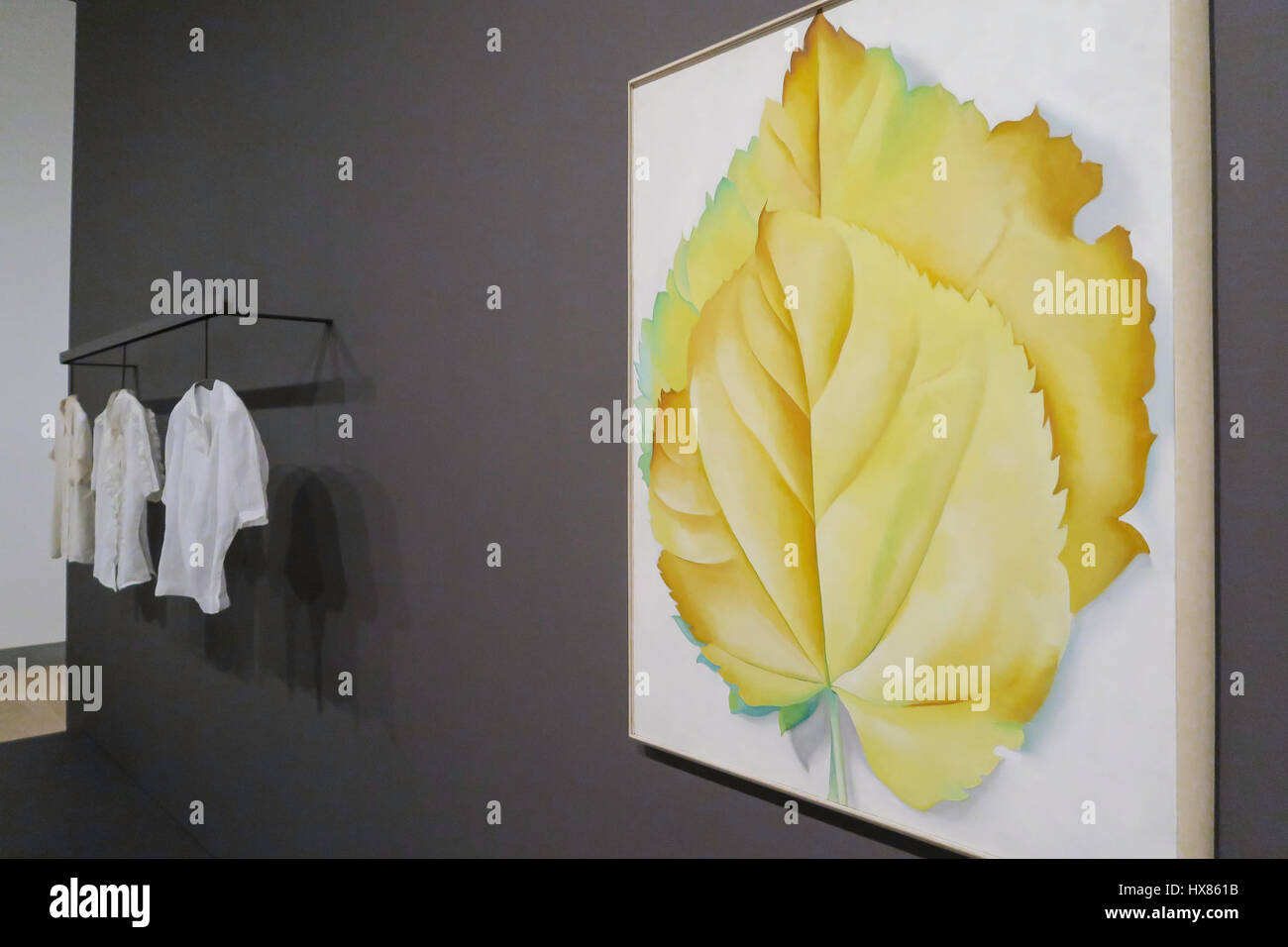 "Georgia O'Keeffe: Living Modern" Ausstellung im Brooklyn Museum, New York City, USA Stockfoto