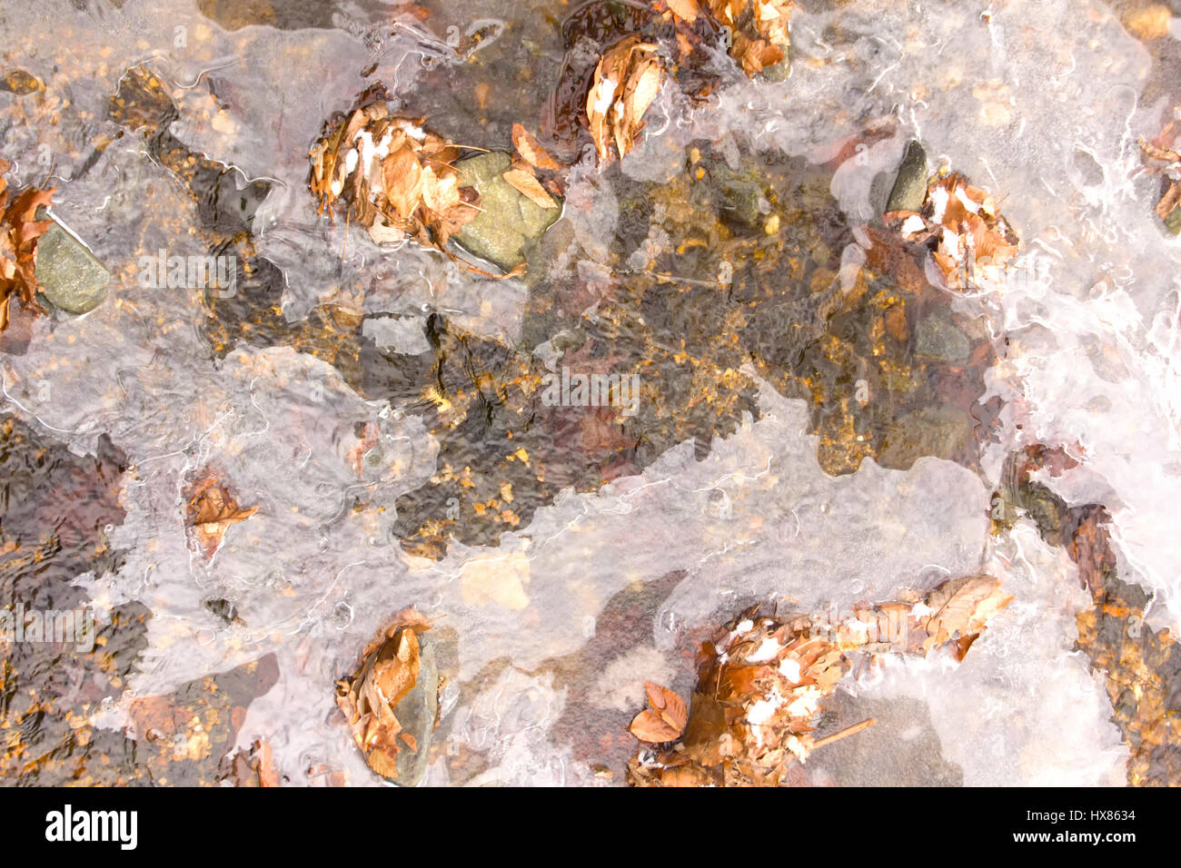 Teilweise zugefrorenen Bach mit Eis, Steine, und Blätter Stockfoto