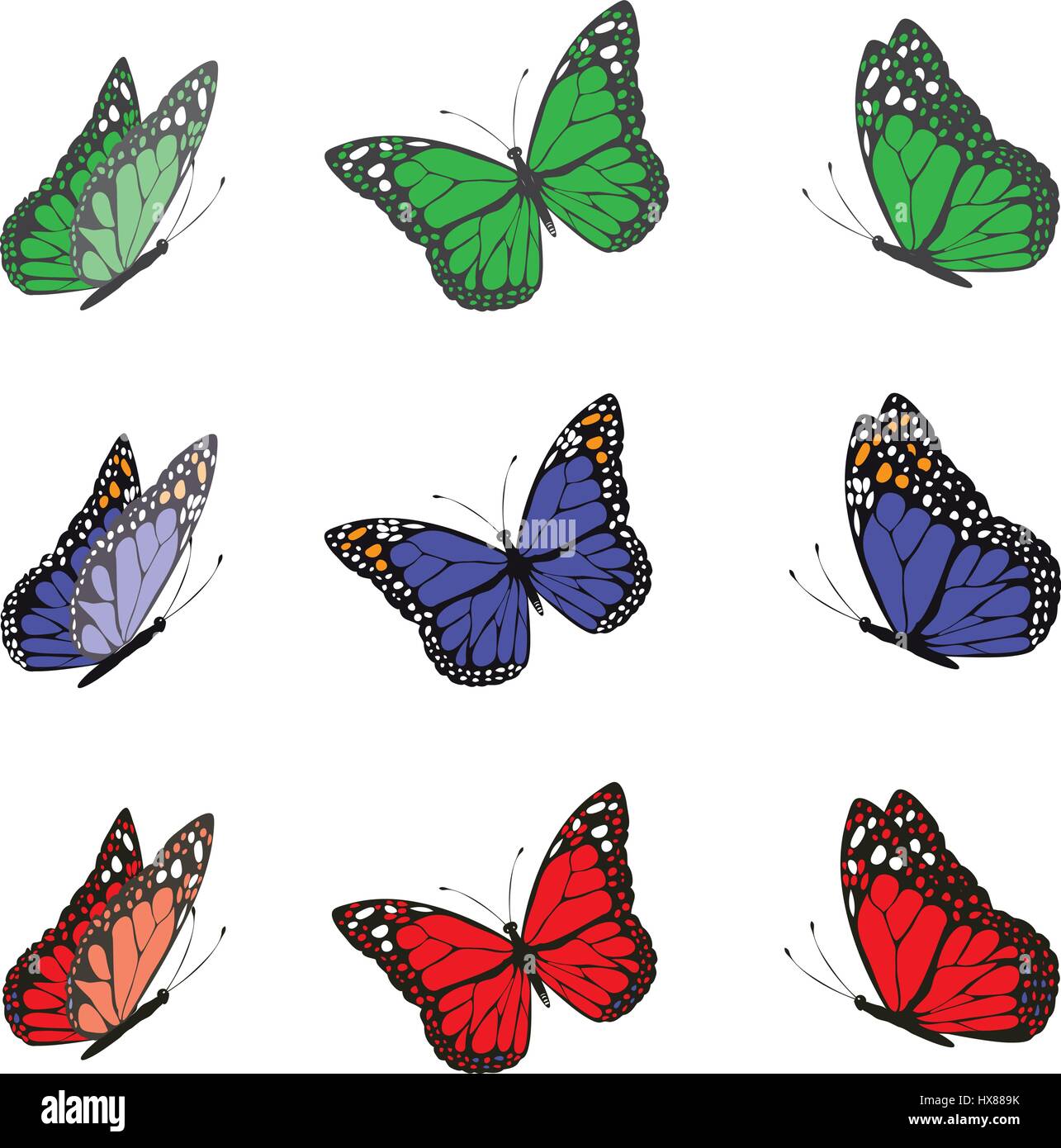 Vektor-Illustration aus einer Reihe von bunten Schmetterlingen Stock Vektor