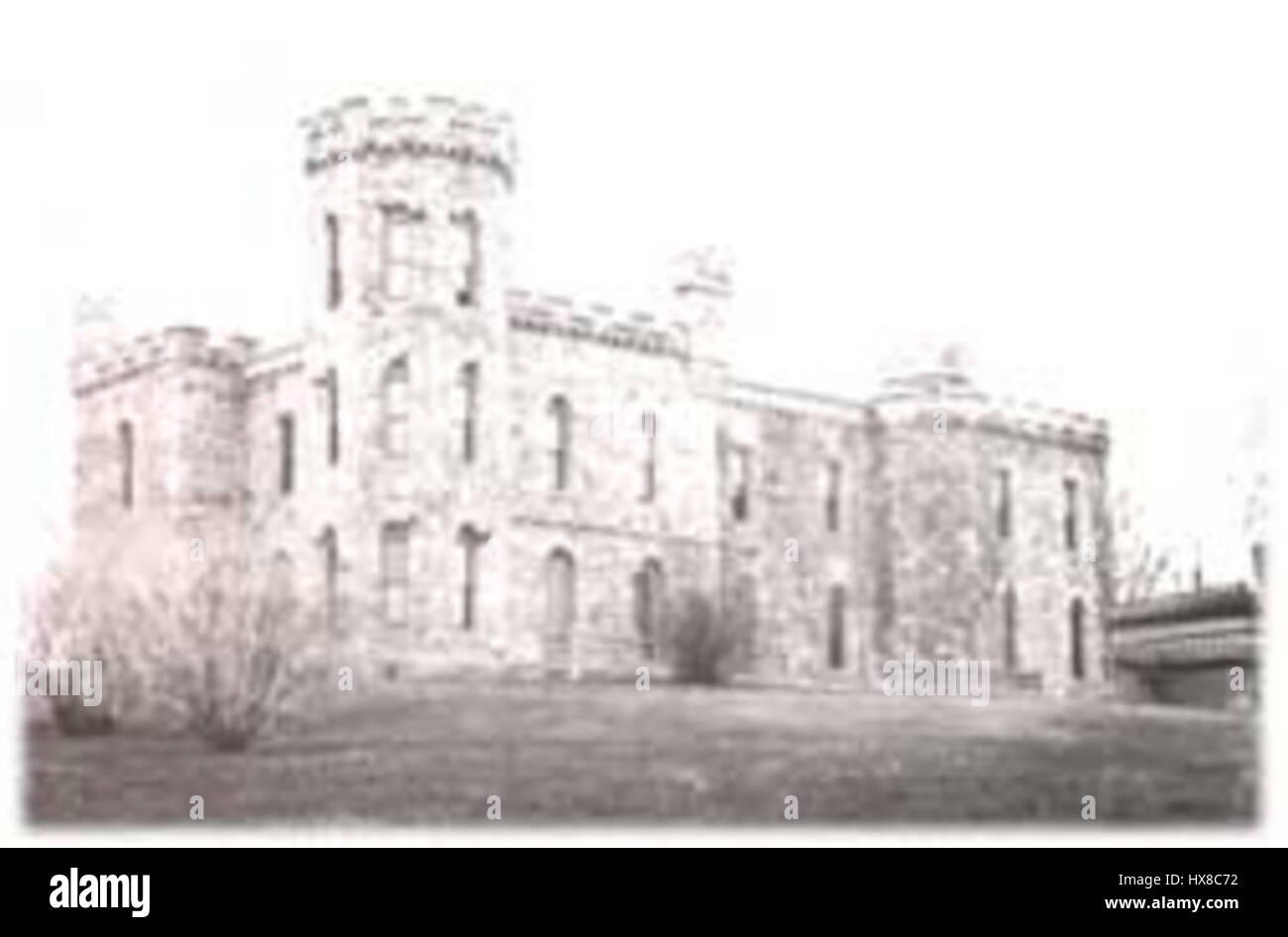 Winnekenni1895 Stockfoto