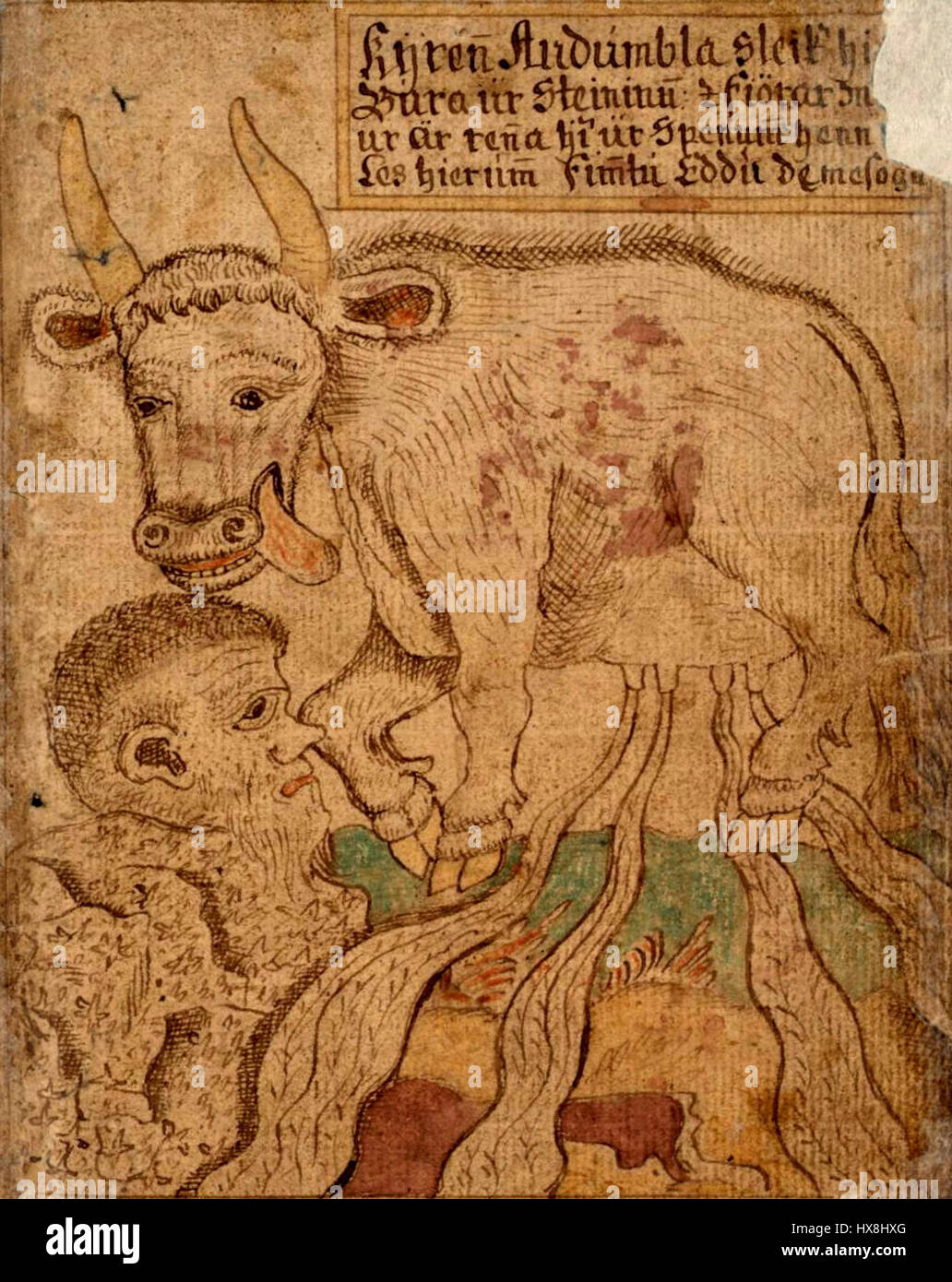 Das „Manuskript Audhumla“ bezieht sich wahrscheinlich auf ein historisches Manuskript, das mit der nordischen Mythologie verknüpft ist. Audhumla ist eine Ur-Kuh aus der Mythologie, und das Manuskript könnte Aspekte der nordischen Schöpfung und Mythologie beschreiben, die den Glauben und die Kultur der Wikinger widerspiegeln. Stockfoto Das „Manuskript Audhumla“ bezieht sich wahrscheinlich auf ein historisches Manuskript, das mit der nordischen Mythologie verknüpft ist. Audhumla ist eine Ur-Kuh aus der Mythologie, und das Manuskript könnte Aspekte der nordischen Schöpfung und Mythologie beschreiben, die den Glauben und die Kultur der Wikinger widerspiegeln. Stockfoto