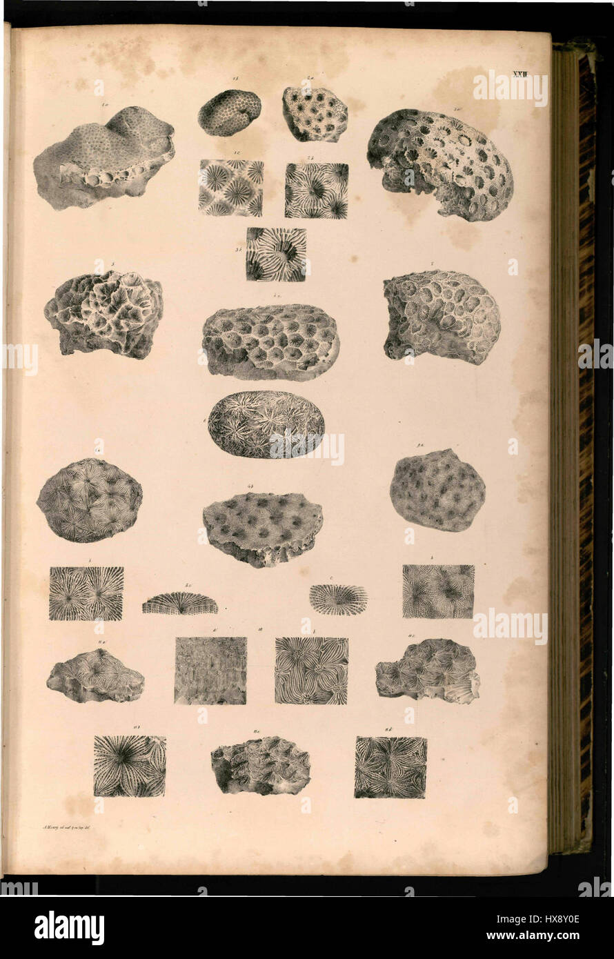 Der Titel „Tafel 022“ kann sich auf ein nummeriertes Schild oder ein Kunstwerk aus einem Katalog oder einer Sammlung beziehen, aber der Kontext und das Thema des Stücks bleiben ohne weitere Einzelheiten unklar. Für den richtigen Kontext ist eine zusätzliche Identifikation erforderlich. Stockfoto