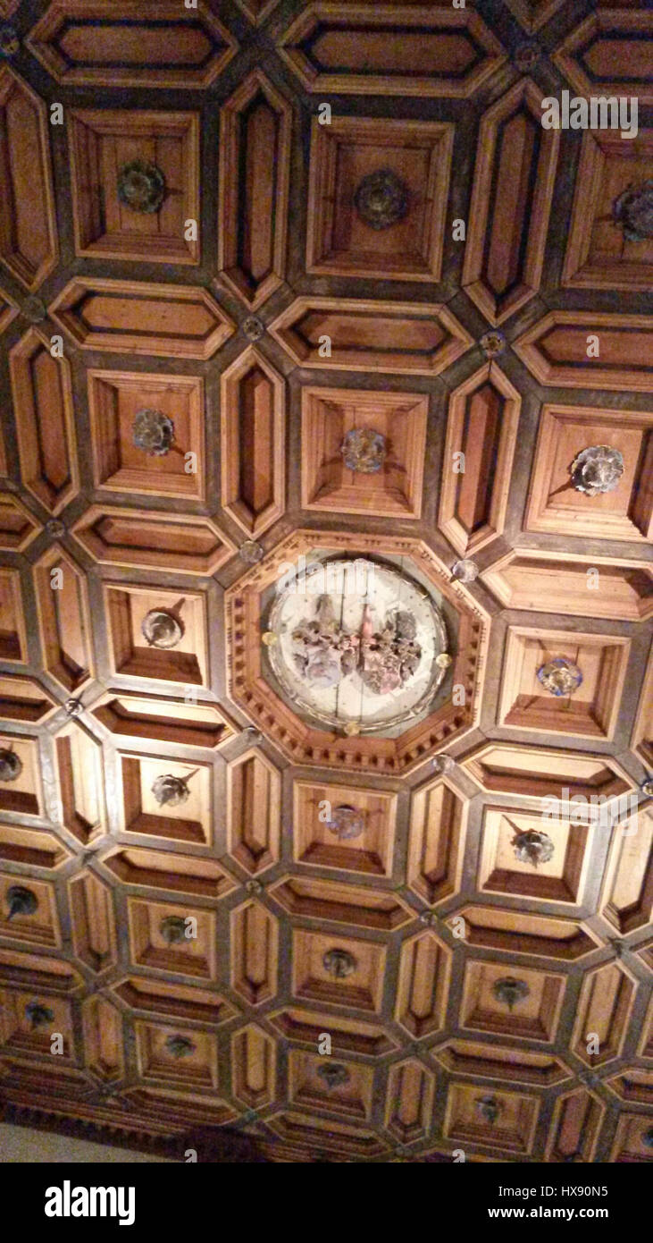 Der Palast Hohenems Interior 1 zeigt eine künstlerische Darstellung des Innenraums des Hohenems Palais in Österreich. Das Werk unterstreicht die architektonische Eleganz und historische Bedeutung des Palastes und zeigt kunstvolle Details und die Opulenz der Zeit. Stockfoto