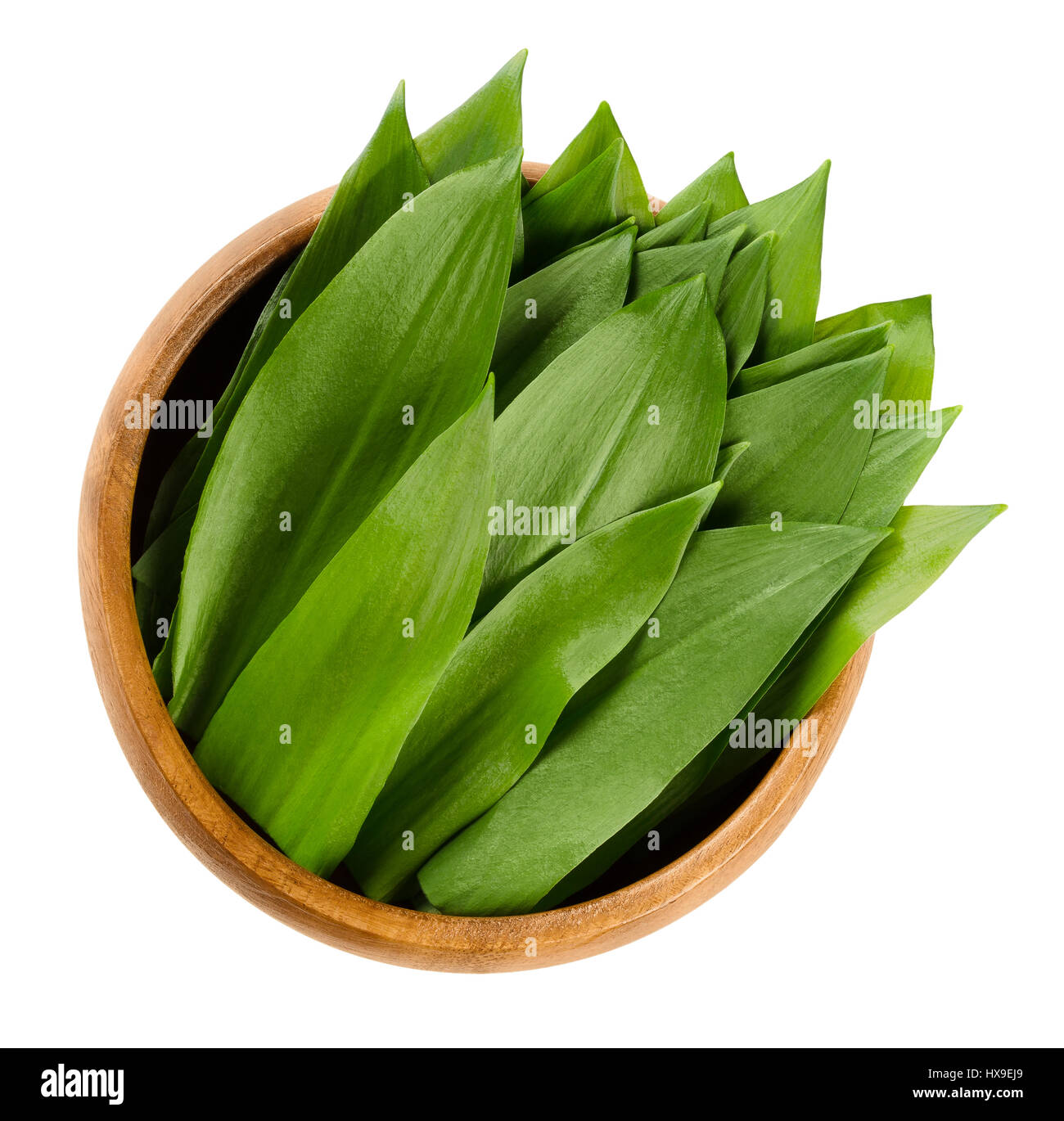 Bärlauch in Holzschale. Frische Blätter von Allium Ursinum, auch genannt Stoffen, Bärlauch oder Bär-Lauch. Stockfoto