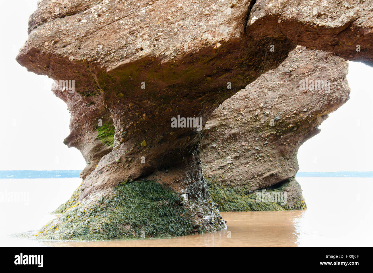Hopewell Rocks - New Brunswick - Kanada Stockfoto