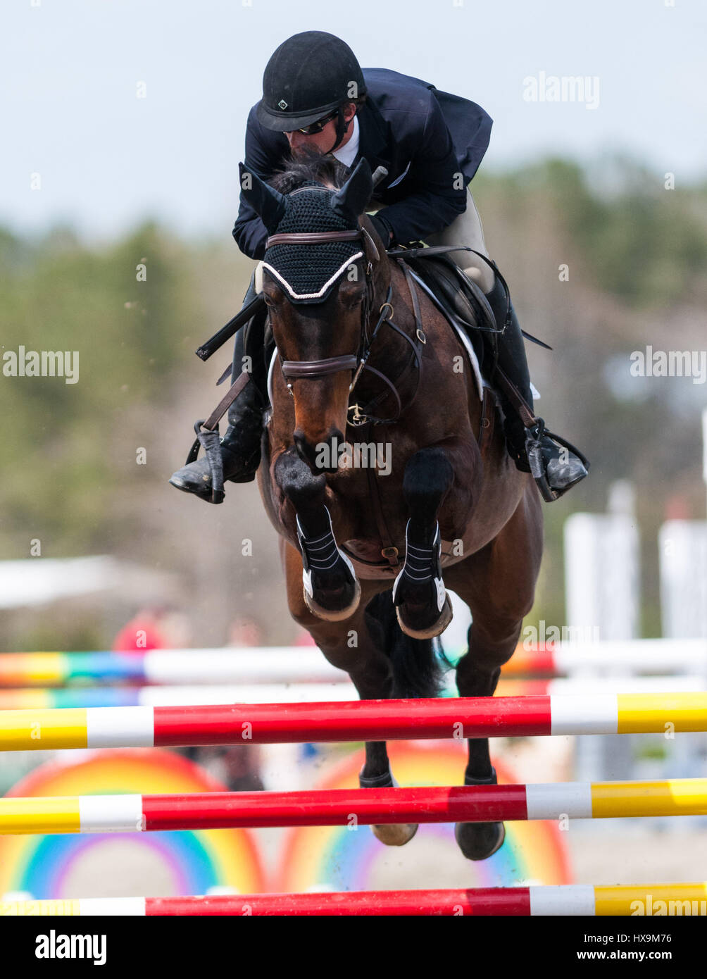 Raeford, North Carolina, USA. 25. März 2017.  WAYLON ROBERTS und eingedenk treten im Stadion springen am 2017 Carolina internationalen CIC & Pferd Versuch 25 März im Carolina Horse Park in Raeford, N.C. Die vierte jährliche Veranstaltung bewirtet einige der weltweit besten Vielseitigkeitsreiter Kombinationen in internationale CIC1 *, 2 *, 3 * Divisionen sowie nationalen Wettbewerb beim Training durch fortgeschrittene. Stockfoto