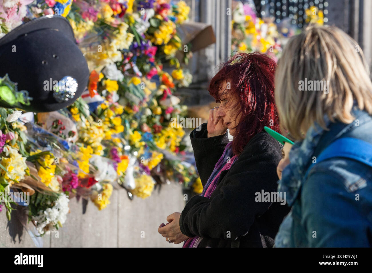 London, UK. 25. März 2017. Frühling Blumen außerhalb der Umzäunung des Palace of Westminster in Gedenken an die Opfer von Terror-Anschlag auf Westminster am 22. März angeordnet. Bildnachweis: Mark Kerrison/Alamy Live-Nachrichten Stockfoto