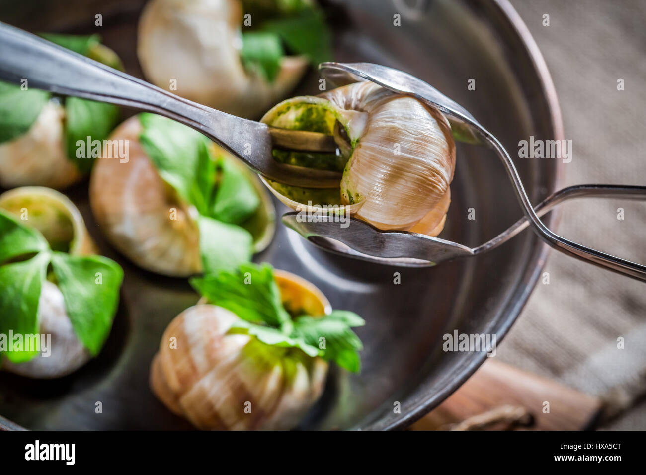 Heiße und frische Schnecken auf alten Holztisch Verkostung Stockfoto