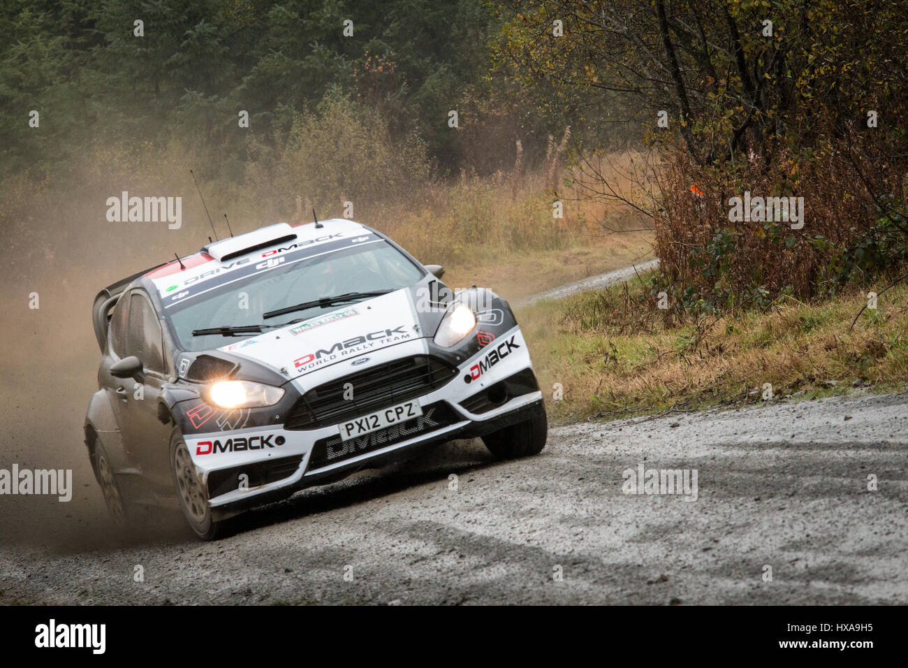 Treiber Ott Tänak am Steuer der Dmack gesponsert Ford Fiesta RS WRC World Rally Car auf der Dyfnant Bühne des 2016 Wales Rally of Great Britain Stockfoto