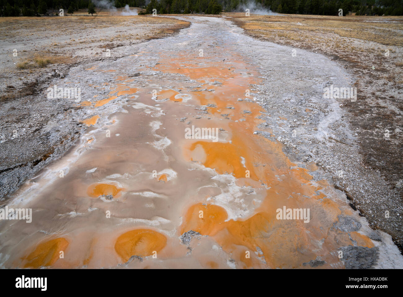 Bunte Wasser fließt aus Grand Gyser. Yellowstone-Nationalpark, Wyoming Stockfoto