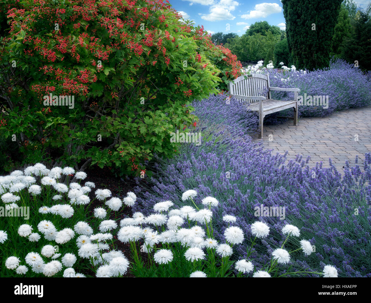 Bank und Blumen. Oregon-Garten. Silverton, Oregon Stockfoto