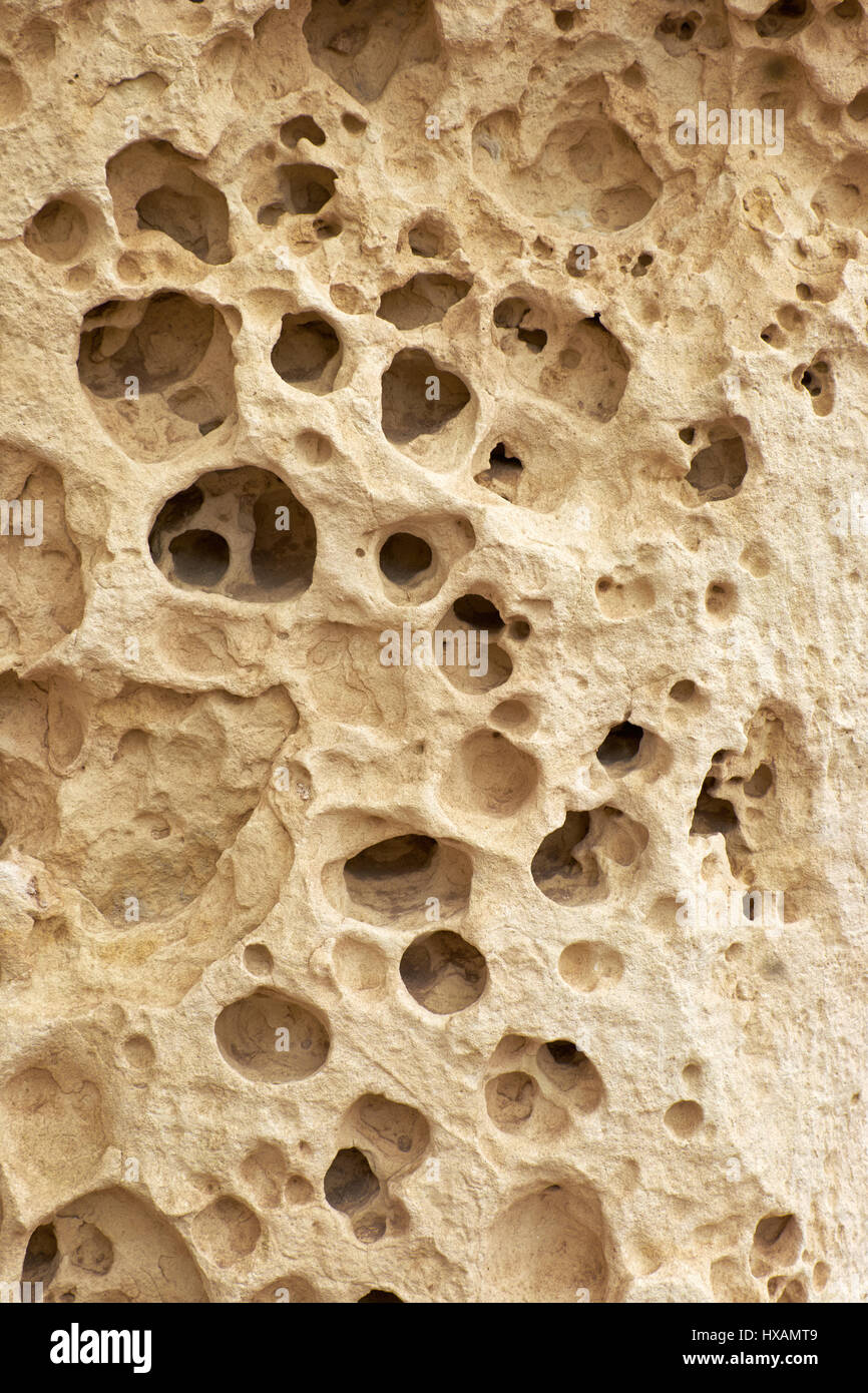 Die höhlenartigen Schale Kalkstein der megalithischen Tempel von Hagar Qim verletzt durch die starke Verwitterung und Oberfläche Abplatzungen, Malta Stockfoto