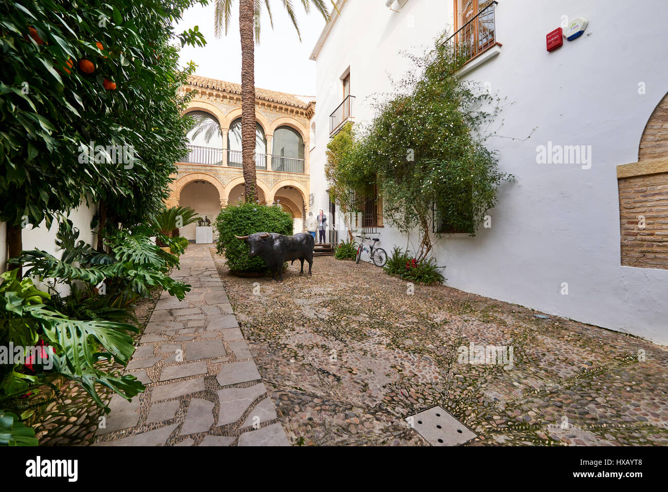 Museo Taurino de Cordoba, Córdoba, Andalusien, Spanien, Europa Stockfoto