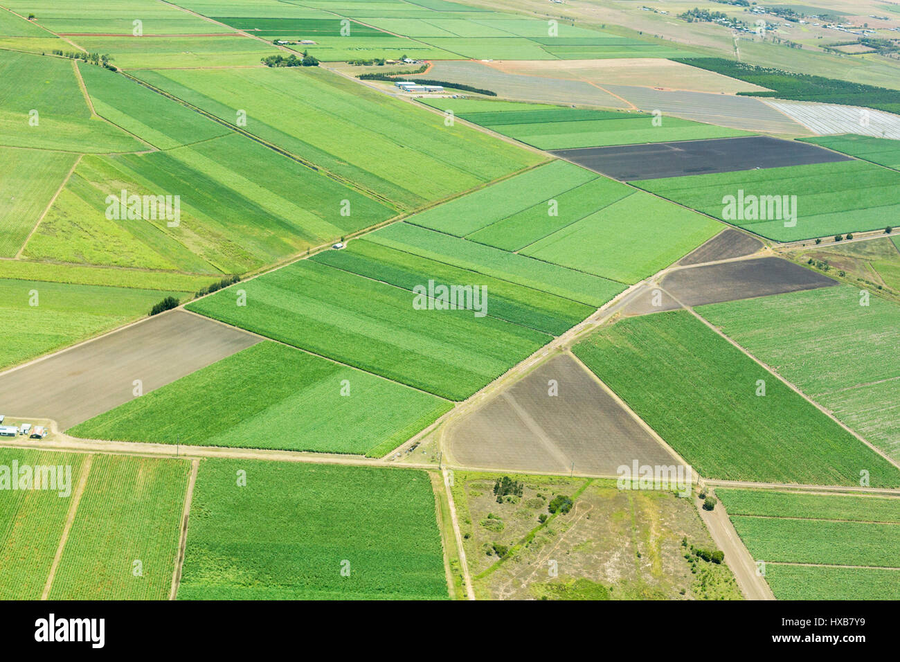 Luftaufnahme von Zuckerrohr Ackerland in der Nähe von Bundaberg, Queensland, Australien Stockfoto