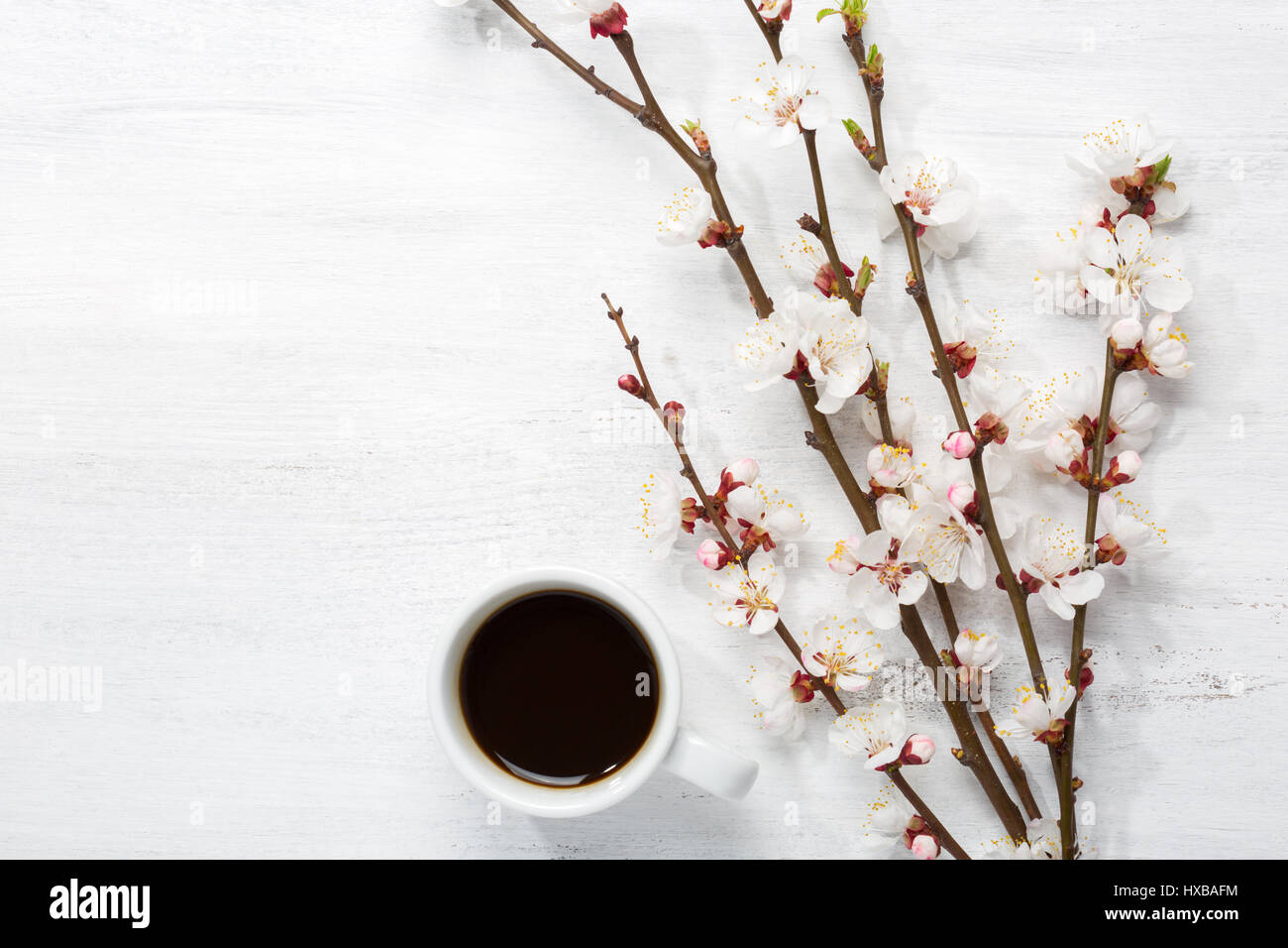 Tasse Kaffee und Zweige der blühenden Aprikose auf alten hölzernen schäbigen Hintergrund Stockfoto