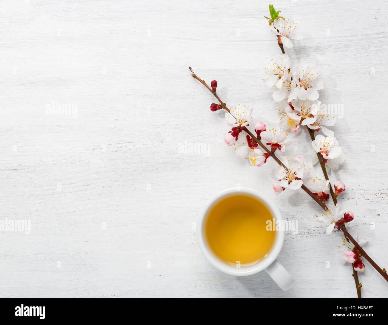 Tasse grüner Tee und Zweige der blühenden Aprikose auf alten hölzernen schäbigen Hintergrund Stockfoto