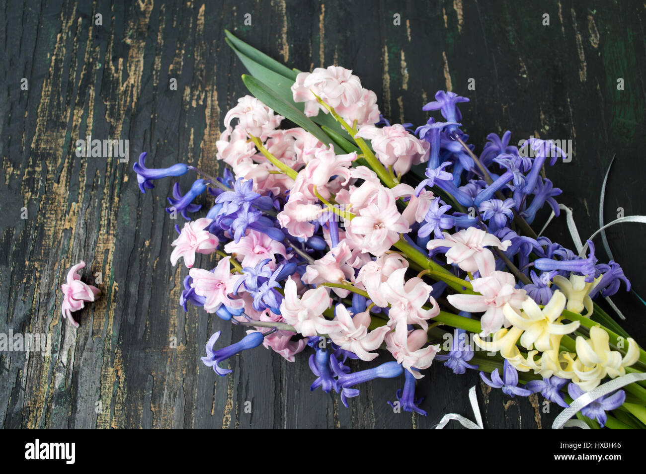 Bunte Hyazinthenblumen auf einem Holztisch Stockfoto