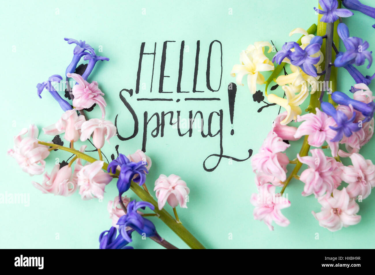 Hallo Frühling Kalligraphie mit Hyazinthenblumen Kenntnis Stockfoto