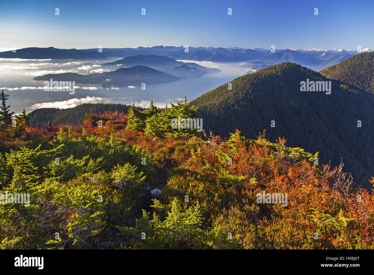 Herbstfarben am Mount Strachan über Vancouver BC als niedrige Wolken ziehen über Howe Sound und Sechelt Halbinsel Stockfoto