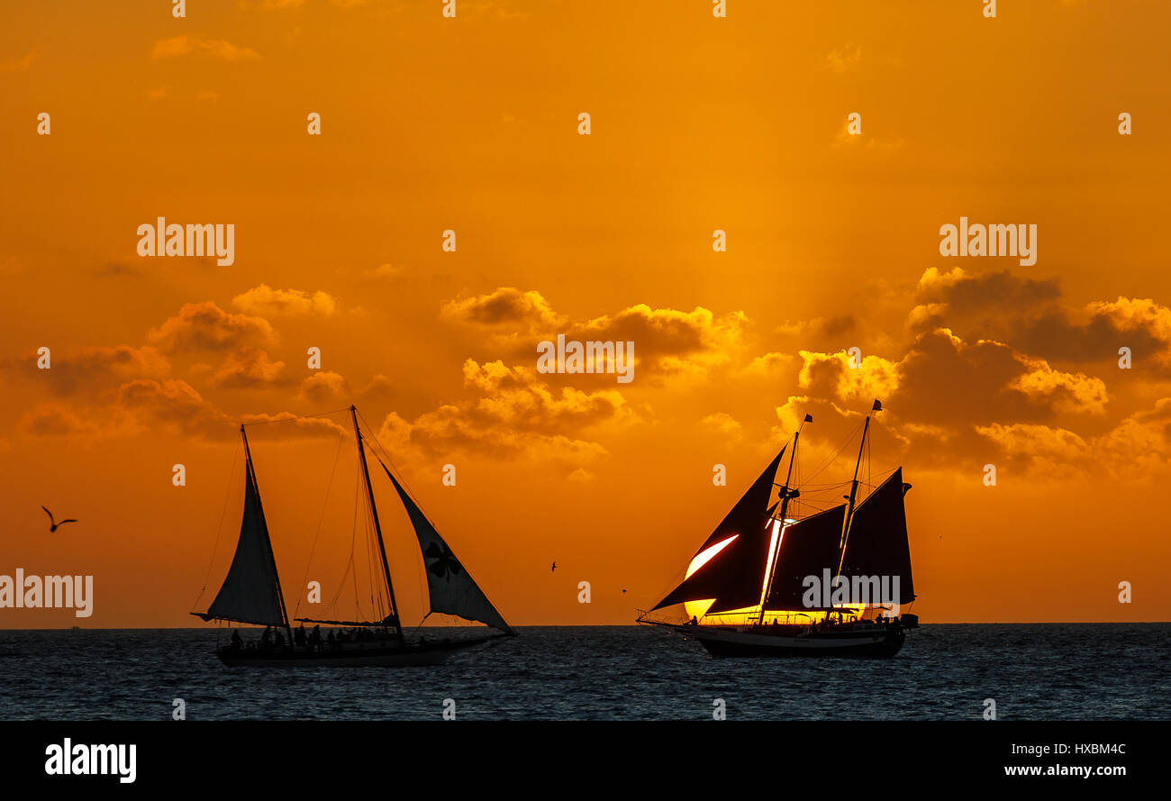 Sonnenuntergang am Segelboot, Key West - Florida Stockfoto