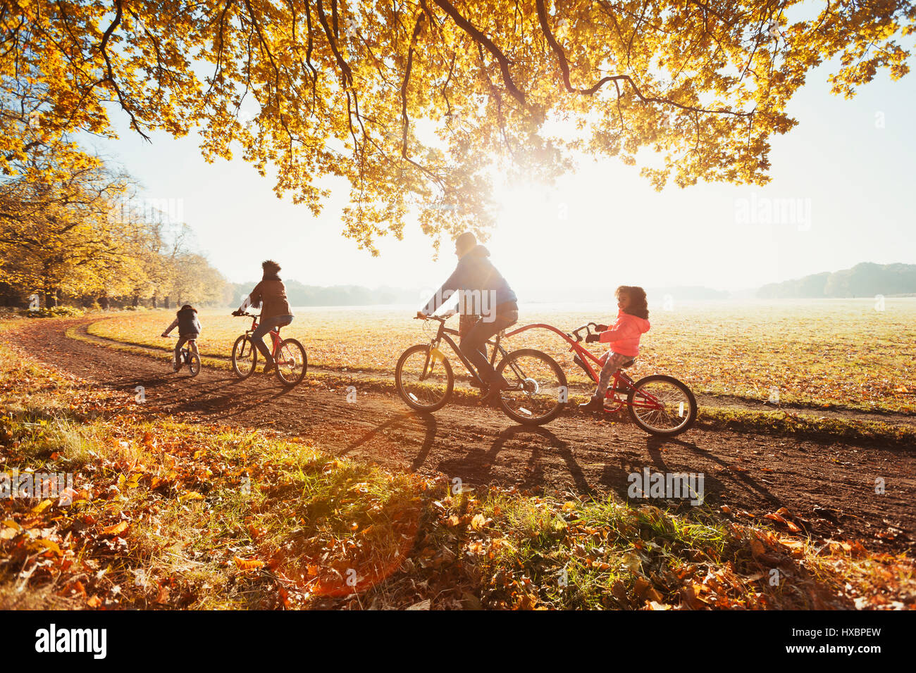 Junge Familie Radfahren im sonnigen Herbst park Stockfoto