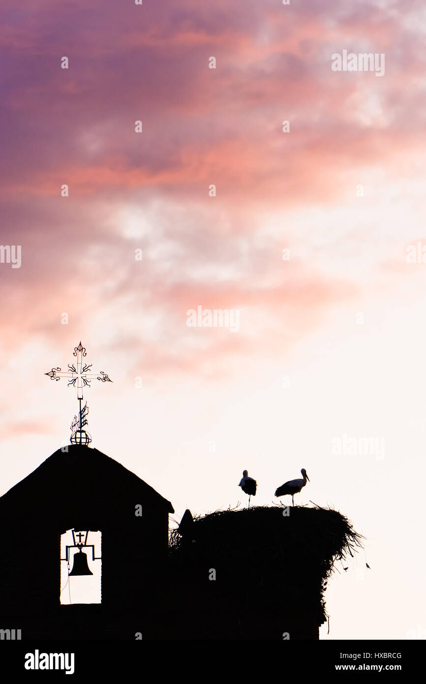 Glockenturm mit zwei Störche im Nest bei Sonnenuntergang. Vertikales Bild. Stockfoto