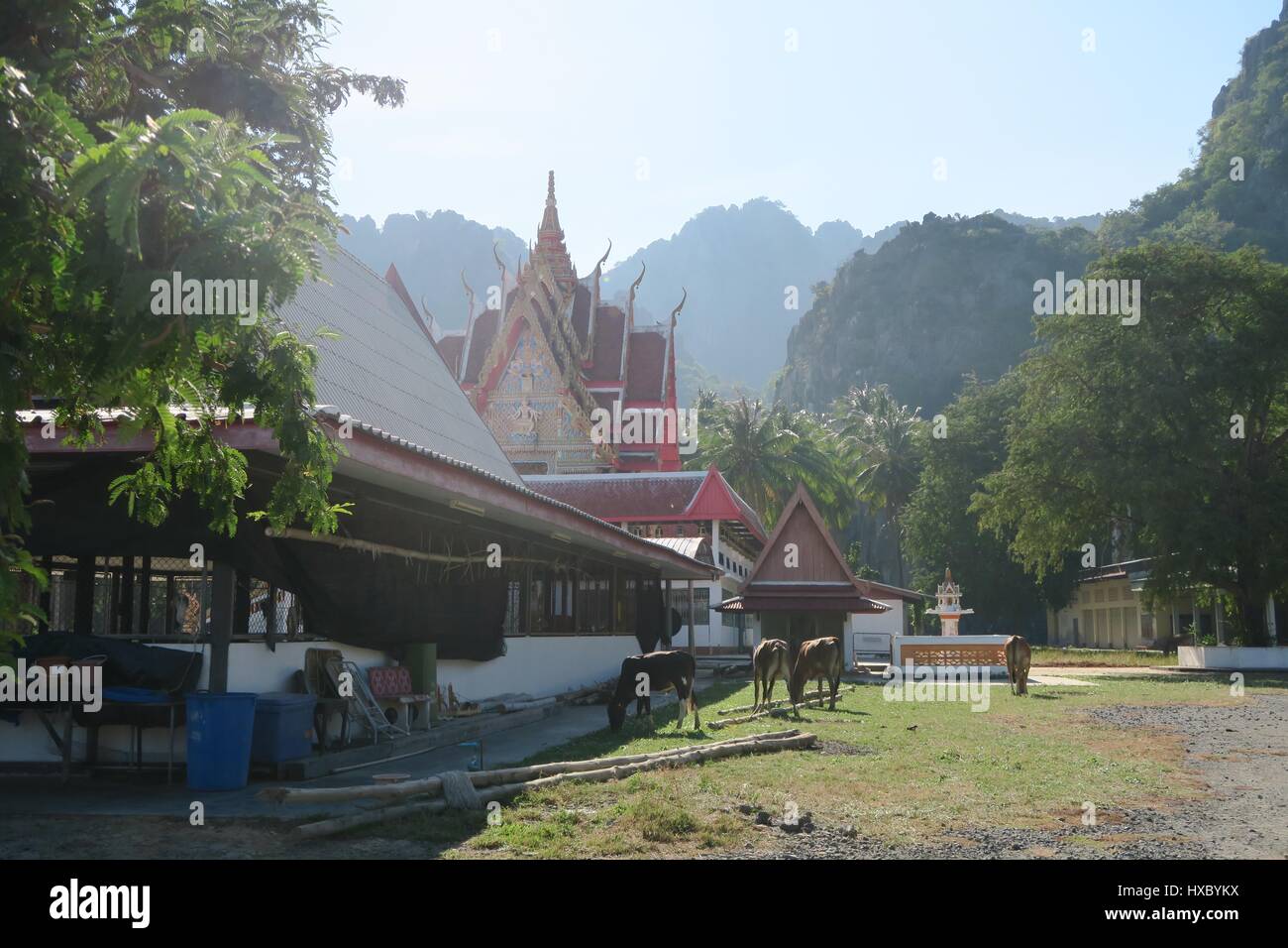 Buddhistischer Tempel in der Khao Sam Roi Yot National Park, Thailand Stockfoto